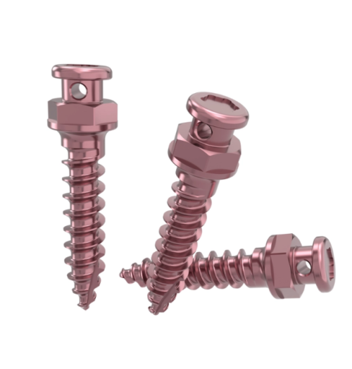 Tornillo de anclaje para implantes dentales
