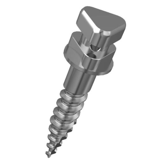 Tornillo de anclaje de acero inoxidable